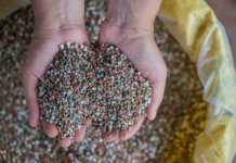 Preço do enxofre dispara 90% nos portos brasileiros e preocupa setor agrícola